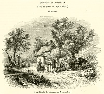 La Récolte des pommes, en Normandie - French School