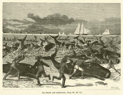La chasse aux marsouins - French School