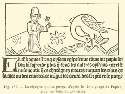 La cigogne qui se purge - French School