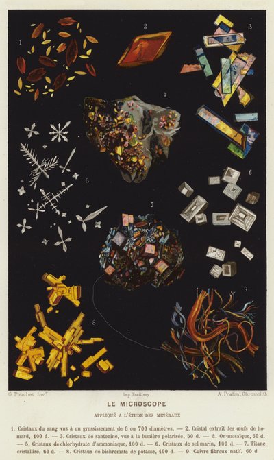 Le Microscope, appliqué à l