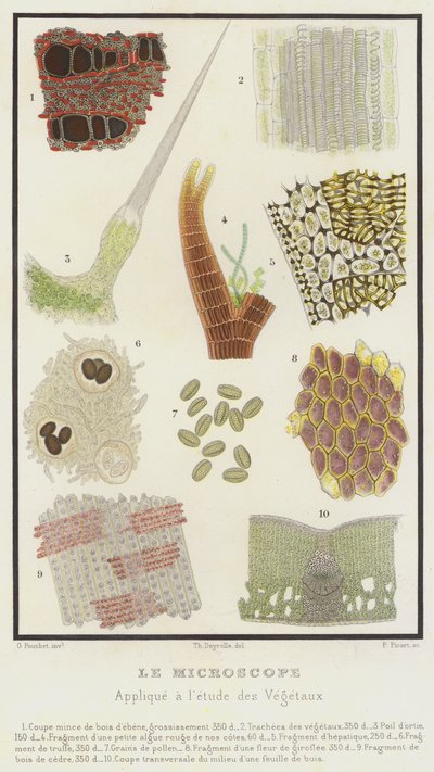 Le microscope, appliqué à l