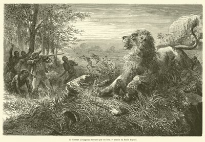 Le docteur Livingstone terrassé par un lion - French School