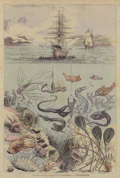 Les Explorations Sous-Marines du Talisman et du Travailleur - French School