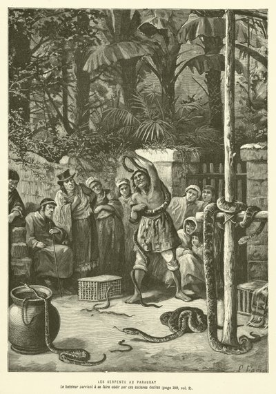 Les Serpents Au Paraguay - French School