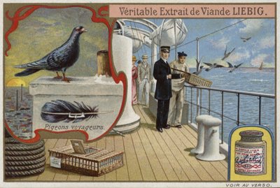 Carte Liebig représentant des pigeons - French School