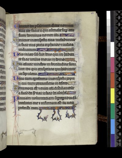 MS 300 f.68r, folio du Psautier et Heures d