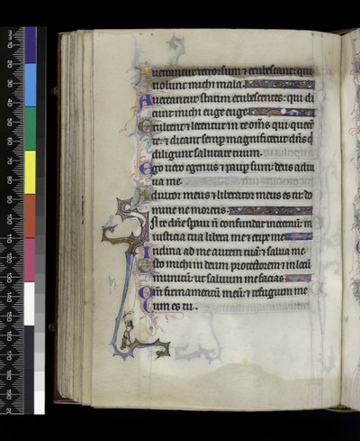 MS 300 f.73v, du Psautier et Heures d