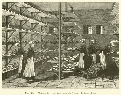 Magasin de perfectionnement du fromage de Camembert - French School