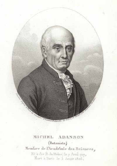 Michel Adanson - French School