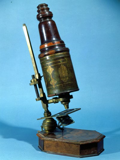Microscope (bois et laiton) - French School