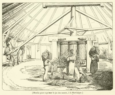 Moulin pour exprimer le jus des cannes, à la Martinique - French School