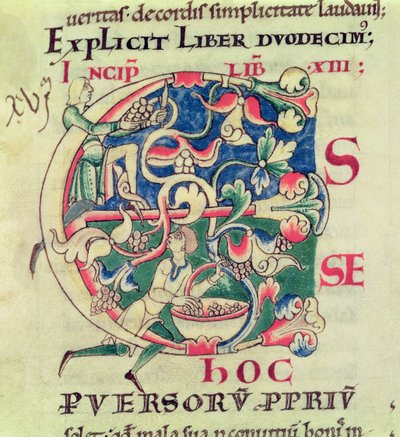 Initiale historiée E représentant la récolte du raisin, de Moralia in Job par le Pape Grégoire le Grand - French School