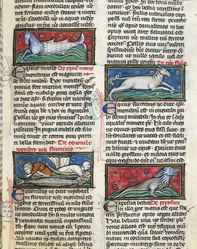 Monstres marins, de 