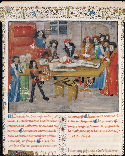 Ms H 184 fol.14v Leçon de dissection à la Faculté de Médecine de Montpellier, de 