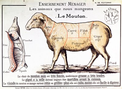 Mouton : diagramme représentant les différentes coupes de viande - French School
