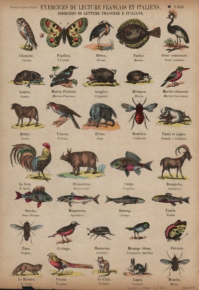 Noms des animaux en français et en italien - French School
