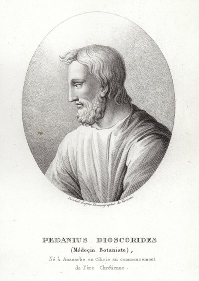 Pedanius Dioscorides - French School