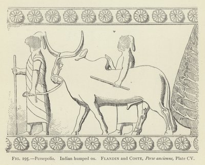 Persépolis, Bœuf indien à bosse - French School