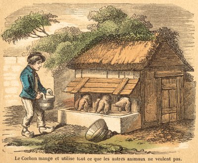 Cochon - French School