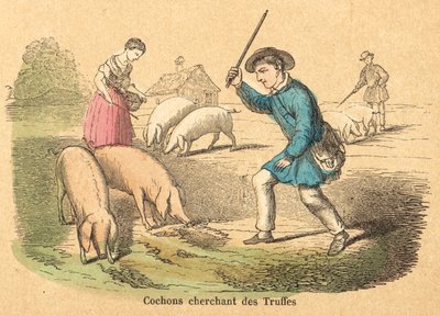 Cochon - French School