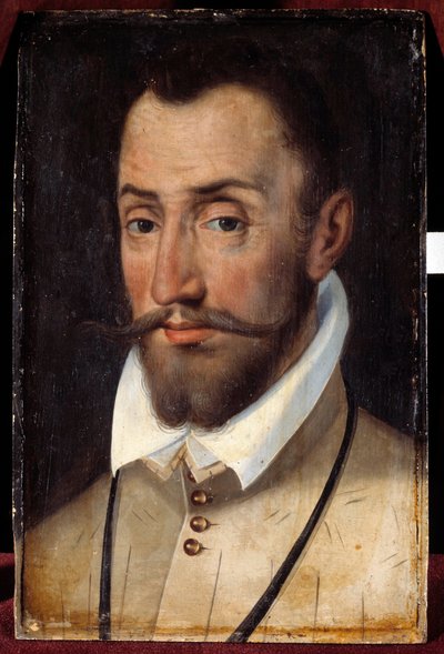 Portrait de François de Coligny, seigneur d