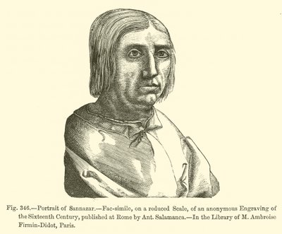 Portrait de Sannazar (gravure) - French School