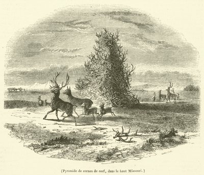 Pyramide de cornes de cerf, dans le haut Missouri (engraving) - French School