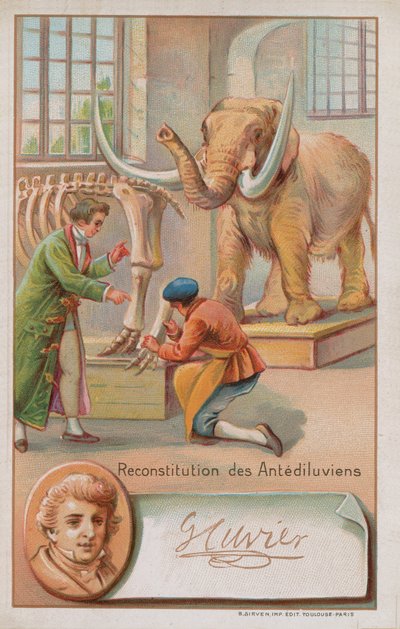 Reconstruction de la période antédiluvienne par Georges Cuvier, naturaliste et zoologiste français (1769-1832) - French School