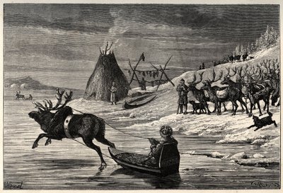 Troupeau de rennes en Laponie - gravure de « L