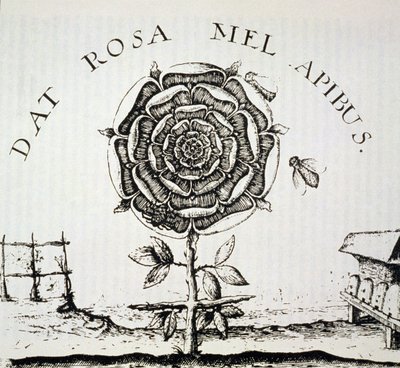 Allégorie rosicrucienne, copie d