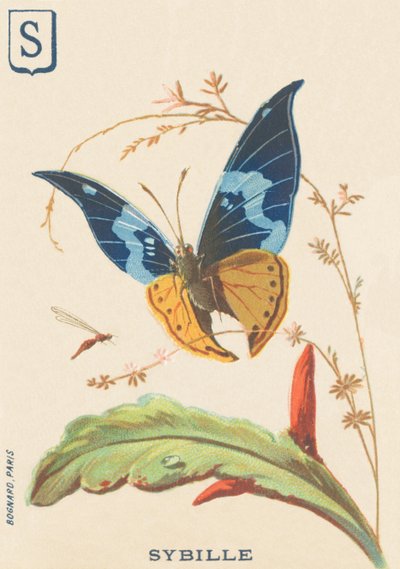 S : Sybil - French School