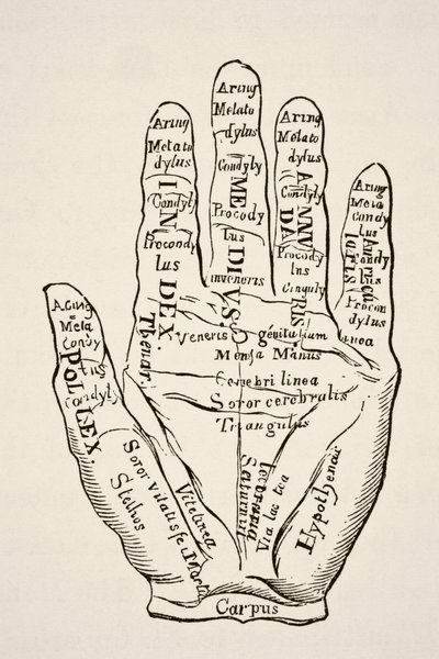 Spécimen de la main gauche avec les lignes et leurs dénominations horoscopiques, de Science et Littérature au Moyen Âge par Paul Lacroix, pub. Londres 1878 - French School