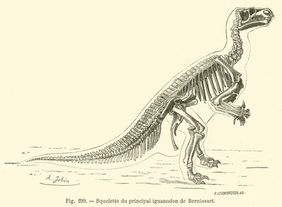 Squelette du principal iguanodon de Bernissart - French School