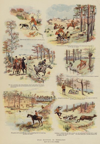 Chasse au cerf en Normandie - French School