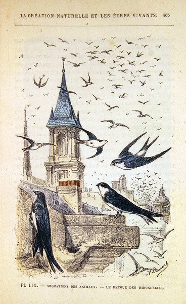 Le retour des hirondelles, vers 1880 - French School