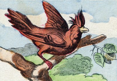 Le cardinal. Gravure dans "Buffon Alphabet des Oiseaux n° 2". 3e Série n° 2. Imagerie d