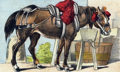 Le cheval. Gravure dans "Buffon Alphabet des Animaux". 3e Série N 1. Imagerie d
