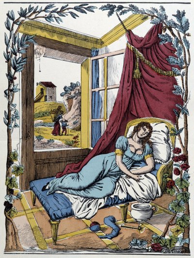 Le paresseux - image d
