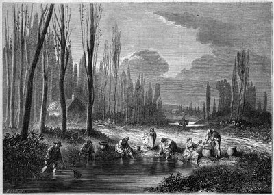 La pêche aux sangsues dans les environs de Versailles - French School