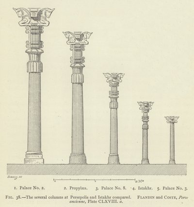 Les différentes colonnes à Persépolis et Istakhr comparées - French School