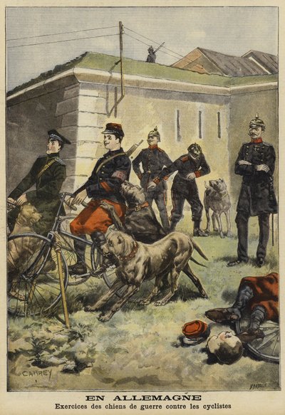 Entraînement des chiens de l