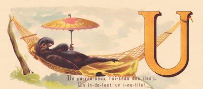 Un paresseux, l