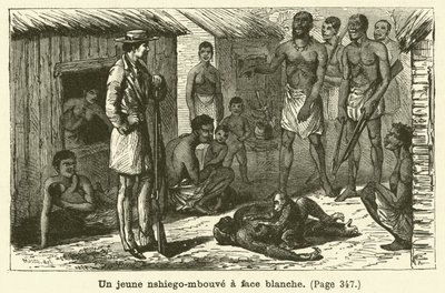 Un jeune nshiego-mbouvé à face blanche - French School