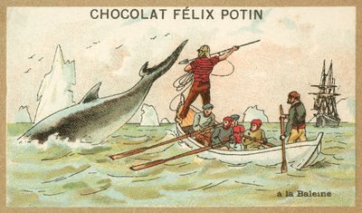 Chasse à la baleine - French School