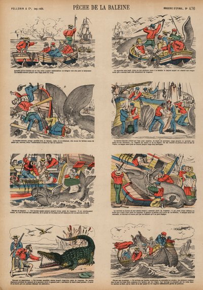 Chasse à la baleine - French School