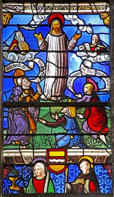 Fenêtre w6 - La Transfiguration - French School