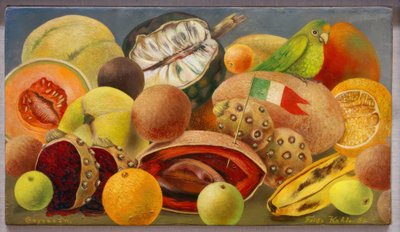 Nature morte au perroquet et au drapeau - Frida Kahlo