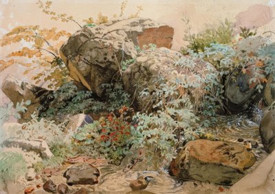 Blocs de rochers envahis par les arbustes au bord d