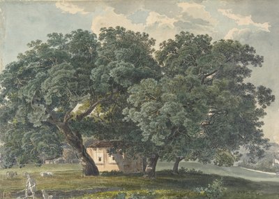 Paysage italien avec arbres - Friedrich Salathé