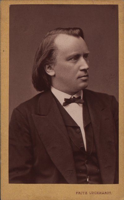 Portrait du compositeur Johannes Brahms 1833-1897, c. 1875 - Fritz Luckhardt